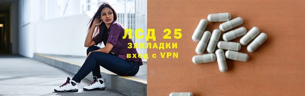 сатива Пересвет