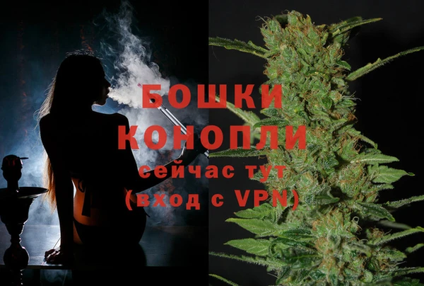 ГАЛЛЮЦИНОГЕННЫЕ ГРИБЫ Переславль-Залесский
