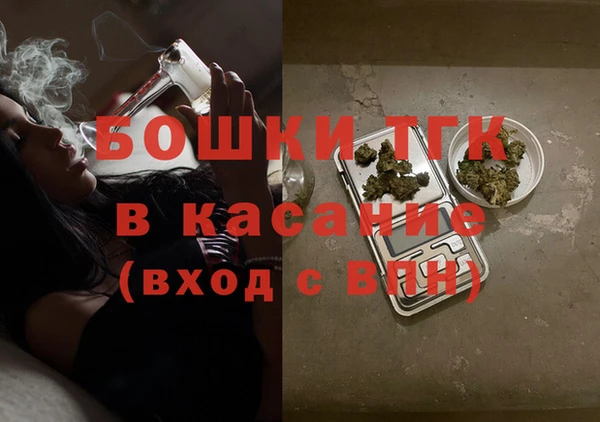 сатива Пересвет