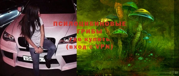дживик Покачи