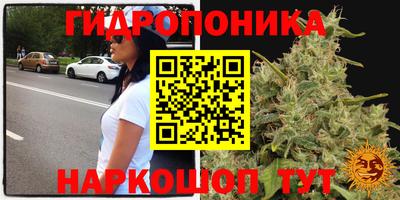 мяу мяу кристалл Беслан