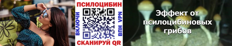 Псилоцибиновые грибы Psilocybe  Богородицк 