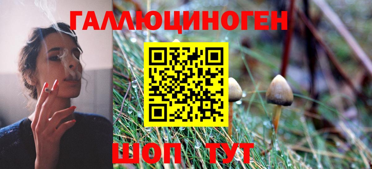 Богородицк  Псилоцибиновые грибы прущие грибы  Вход с VPN 