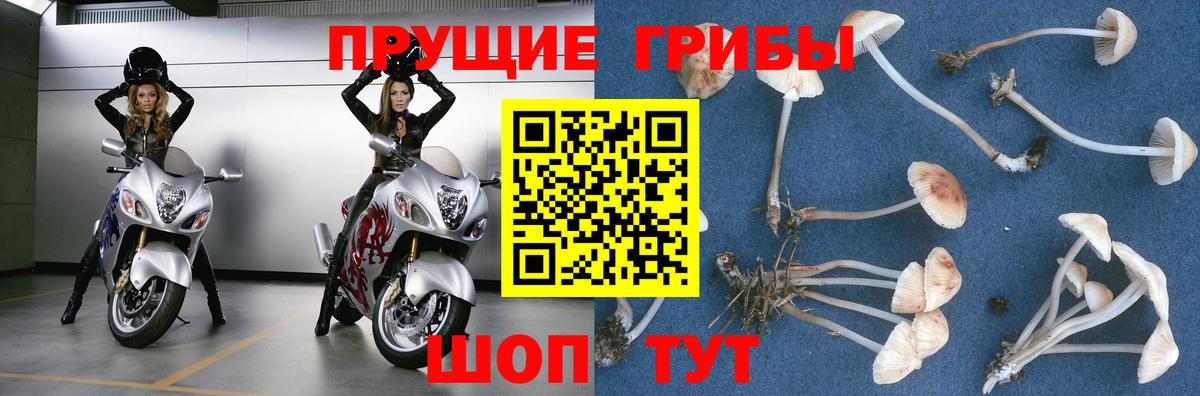 Галлюциногенные грибы MAGIC MUSHROOMS Богородицк