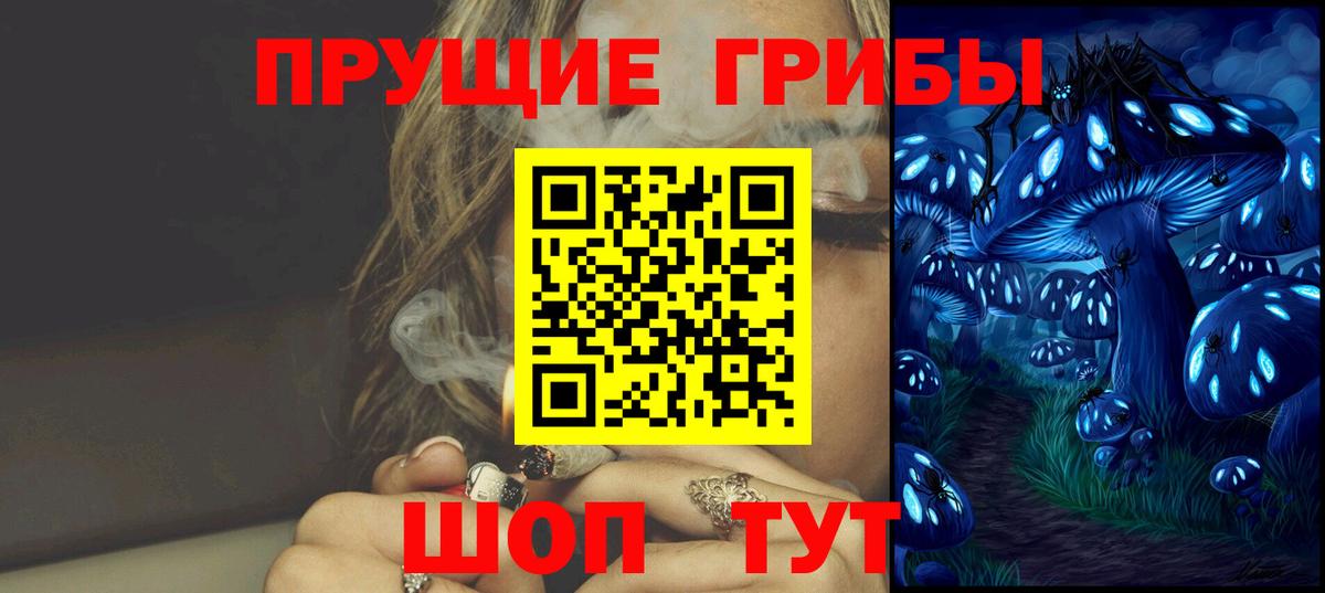 Псилоцибиновые грибы Psilocybe Богородицк
